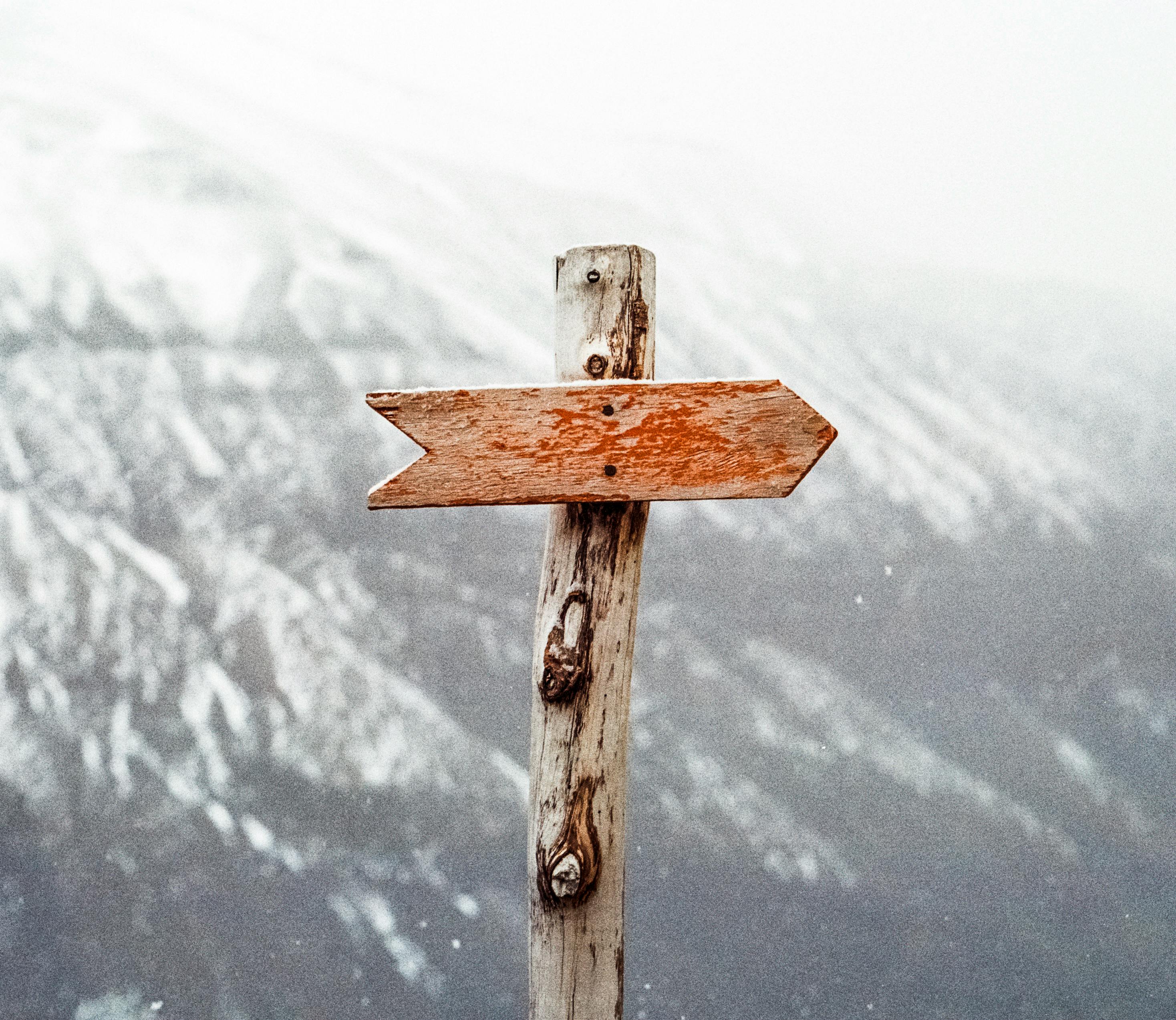 AI Roadmap Workshop: Structured planning for AI transformation