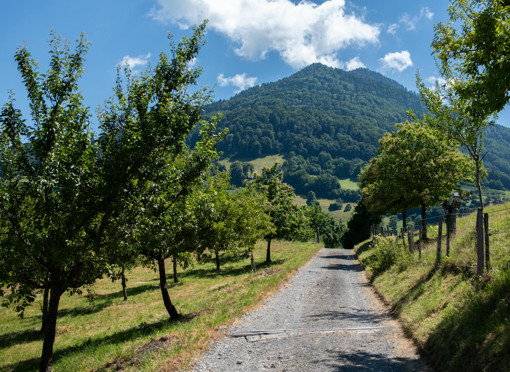 Schweiz
